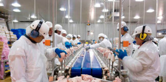 SOLICITAMOS OPERARIOS/AS DE PRODUCCIÓN PARA PLANTA AVÍCOLA (CON O SIN EXPERIENCIA). SE OFRECE BUEN SALARIO Y CONTRATO INDEFINIDO Operarios de Producción empleo de Operario en Costa Rica Empleo en Alajuela Production Operators Operator employment in Costa Rica Employment in Alajuela