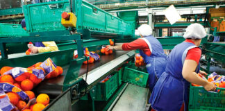 SE SOLICITA PERSONAL PARA EMPAQUE DE FRUTAS, FLORES Y COMIDA (HOMBRES Y MUJERES), NO REQUIERE EXPERIENCIA. BUEN PAGO POR HORA Personal Para Empaque de Frutas Empaque de Flores Empaque de Comida Empleo sin experiencia Personnel for Fruit Packaging