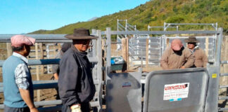 SE SOLICITAN TRABAJADORES AGRÍCOLAS/GANADEROS PARA RANCHO (CON O SIN EXPERIENCIA, SE ENTRENARÁ), SUELDO $3300 MENSUALES + ALOJAMIENTO Trabajadores Agrícolas Ganaderos Para Rancho en Canadá Agricultural Livestock Ranch Workers in Canada