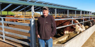 SE SOLICITAN TRABAJADORES PARA GRANJA LECHERA (CON O SIN EXPERIENCIA), LABORES DE PRODUCCIÓN Y MANTENIMIENTO. PAGO APROX. $3900.00 POR MES Trabajadores Para Granja Lechera en Canadá Empleo sin experiencia Dairy Farm Workers in Canada Employment without experience