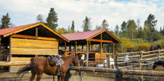 SE BUSCA AYUDANTE/MANO DE RANCHO (NO SE REQUIERE EXPERIENCIA PREVIA), CUIDADO DE CABALLOS Y MANTENIMIENTO GENERAL ayudante mano de rancho cuidado de caballos y mantenimiento de rancho ranch hand helper horse care and ranch maintenance