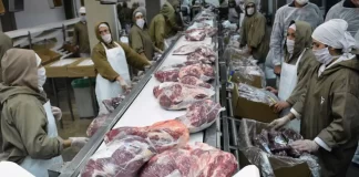 SE SOLICITA PERSONAL DE PRODUCCIÓN – CORTADOR(A) DE CARNE (MÍNIMA EXPERIENCIA), PAGO A PARTIR DE $25.00/HORA personal de producción cortador(a) de carne meat cutter production staff