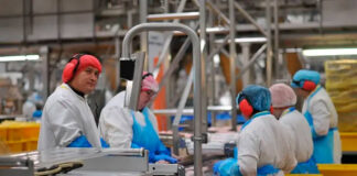 SE SOLICITAN OPERARIOS/AS DE PRODUCCIÓN PARA FÁBRICA DE ALIMENTOS (CON O SIN EXPERIENCIA). TURNOS ROTATIVOS MAÑANA Y TARDE. EXCELENTE REMUNERACIÓN Operarios De Producción Fabrica de Alimentos Empleo sin experiencia en España Badajoz Production Operators Food Factory Jobs without experience in Spain Badajoz
