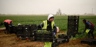 SE SOLICITA PEÓN DE FINCA CON O SIN EXPERIENCIA, SE OFRECE TRABAJO ESTABLE A TIEMPO COMPLETO. EXCELENTE REMUNERACIÓN Peón para Finca Peón agrícola peón de ganadería trabajo en finca en Madrid Farm Laborer Agricultural laborer livestock laborer work on a farm in Madrid