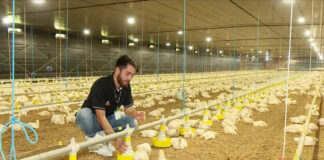 SE PRECISA PEÓN/A PARA GRANJA AVÍCOLA CON O SIN EXPERIENCIA (30 HORAS SEMANALES), LUNES A VIERNES DE 09:00 A 15:00 HS. SUELDO 1.260 € AL MES Peón para granja Avícola empleo de peón en España Empleo en Barcelona Laborer for Poultry farm laborer employment in Spain Employment in Barcelona
