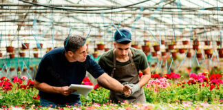 SE SOLICITAN 21 TRABAJADORES PARA VIVERO DE PLANTAS (HOMBRES Y MUJERES). HORARIO FIJO DE 7:30 AM A 2:00 PM DE LUNES A VIERNES, SUELDO $2695 POR MES Trabajadores Para Vivero de Plantas Personal para Vivero en St. Paul en Oregón Plant Nursery Workers Nursery Staff in St. Paul, Oregon