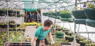 SE SOLICITAN TRABAJADORES PARA VIVERO DE PLANTAS (HOMBRES Y MUJERES, 30 VACANTES). 36 HS SEMANALES, SUELDO $2300 POR MES Trabajadores Para Vivero de Plantas Personal para Vivero en Virginia Plant Nursery Workers Nursery Staff in Virginia