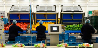 SE SOLICITA OPERARIO/A PRODUCCIÓN – CARRETILLERO/A (CON O SIN EXPERIENCIA), PARA PLANTA DE RECICLAJE DE RESIDUOS ANIMALES Y VEGETALES. SALARIO DESDE 1833,33€/MES Operario producción Production Operator Forklift Employment without Personal Experience for Recycling Plant Operatore di produzione Personale per impianto di riciclaggio