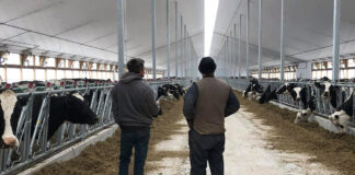 SE SOLICITAN TRABAJADORES DE GRANJA LECHERA (NO SE REQUIERE EXPERIENCIA), 2 VACANTES. SALARIO HASTA $2673,6 POR MES Trabajador de granja lechera Empleado Para Rancho en Canadá Dairy Farm Worker Ranch Employee in Canada Ontario