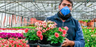 SE NECESITAN 20 TRABAJADORES PARA INVERNADERO/VIVERO (HOMBRES Y MUJERES), 48 HORAS SEMANALES. SUELDO $3552 POR MES Trabajadores Para Invernadero/Vivero Personal para Vivero Romulus Michigan Greenhouse/Nursery Workers Nursery Staff Lavoratori di serre/vivai