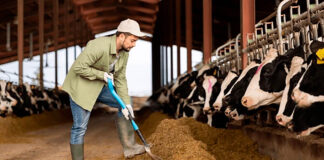SE NECESITAN TRABAJADORES DE RANCHO (MANO DE OBRA GENERAL), 4 VACANTES. SALARIO $2985,6 POR MES Trabajadores de Rancho Mano de Obra General Lavoratori del ranch manodopera generale Rancharbeiter Allgemeine Arbeit Ranch Workers General Labor in the United States