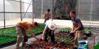 SE SOLICITAN AYUDANTES PARA VIVERO DE PLANTAS (POCA EXPERIENCIA), MAS DE 200 plademallorca. PAGO $18.18 POR HORA Ayudantes Para Vivero de Plantas en Oberlin Ohio Personal para Vivero en USA Plant Nursery Helpers in Oberlin Ohio Nursery Staff in the USA