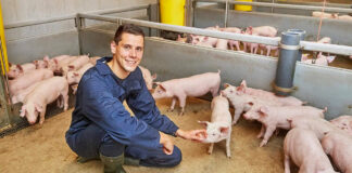 SE SOLICITA OPERARIO/A DE LIMPIEZA EN GRANJAS DE GANADO PORCINO (5 HORAS DIARIAS), DE LUNES A VIERNES, DE 7:00 A 13:00 HS. SALARIO SEGÚN CONVENIO Operario de Limpieza en Granjas de Porcino Granja de Cerdos Ganado Porcino en España Cleaning Operator in Pig Farms Pig Farm Addetto alle pulizie negli allevamenti di suini Schweinefarm