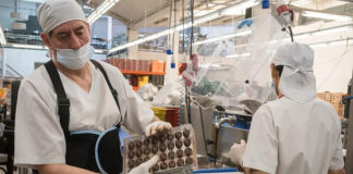 SE SOLICITA PERSONAL DE PRODUCCIÓN PARA FÁBRICA DE CHOCOLATE (CON O SIN EXPERIENCIA), PERSONAS RESPONSABLES Y AMANTES DEL CHOCOLATE. BUEN PAGO Personal de Producción Para Fábrica de Chocolate empleo en Canadá Production Personnel for Chocolate Factory jobs in Canada