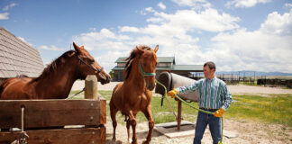 SE SOLICITAN PREPARADORES PARA RANCHO DE CABALLOS (16 VACANTES), POCA EXPERIENCIA. REMUNERACIÓN COMPETITIVA Y BENEFICIOS Preparadores Para Rancho de Caballos empleado para granja en Estados Unidos New Orleans Luisiana Horse Ranch Trainers farm employee in the United States