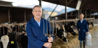 SE BUSCA TRABAJADOR GANADERO (CON O SIN EXPERIENCIA, SE ENTRENARÁ), GANADERÍA Y CRÍA DE GANADO VACUNO. SUELDO HASTA $3000 AL MES Trabajador Ganadero en Canadá Empleo sin experiencia Livestock Worker Ranch Employee in Canada Livestock Worker Job Lavoratore di bestiame Vieharbeiter