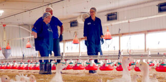 SELECCIONAMOS TRABAJADOR PARA GRANJA DE PAVOS (CON O SIN EXPERIENCIA), INGRESO INMEDIATO. BUENA REMUNERACIÓN Trabajador Para Granja de Pavos Thorntown Empleo en Indiana Empleo sin experiencia Turkey Farm Worker Bracciante agricolo turco Türkischer Landarbeiter