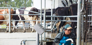 SE SOLICITAN TRABAJADORES PARA GRANJA LECHERA (CON O SIN EXPERIENCIA), 40 HORAS SEMANALES. PAGO $22.00 LA HORA + ALOJAMIENTO Trabajadores Para Granja Lechera Empleado Para Rancho en Canadá Dairy Farm Workers Ranch Employee in Canada empleo sin experiencia