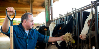 SE SOLICITAN TRABAJADORES DE RANCHO (PRODUCCIÓN GANADERA), POCA EXPERIENCIA. SALARIO $2911,04 AL MES + TRANSPORTE Y OTROS BENEFICIOS Trabajadores de Rancho Producción Ganadera Empleo en Montana empleado para granja en USA Ranch Workers Livestock Production Employment in Montana employed for farm in the USA