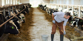 SE SOLICITAN AYUDANTES PARA RANCHO DE GANADO (9 VACANTES), NO REQUIERE EXPERIENCIA. SALARIO $ 3517,44 AL MES Ayudantes Para Rancho de Ganado en Estados Unidos Dakota del Sur granja en USA Empleo sin experiencia Cattle Ranch Helpers Jobs in South Dakota farm in the USA