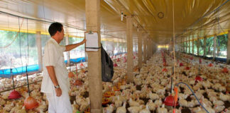 SE SOLICITA ENCARGADO DE PRODUCCIÓN AVÍCOLA (MÍNIMA EXPERIENCIA), 40 HORAS SEMANALES. EXCELENTE REMUNERACIÓN Encargado de Producción Avícola en España Arcos de la Frontera Empleo en Cádiz Empleo en Andalucía Poultry Production Manager in Spain Employment in Cádiz Employment in Andalusia