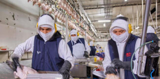 SE SOLICITAN ENVASADORES/AS DE AVES DE CORRAL (CON O SIN EXPERIENCIA), SE CAPACITARÁ. PAGO $24.54 POR HORA Envasadores de Aves de Corral empleo de Empacador en Canadá Armstrong Columbia Británica Empleo sin experiencia en Canadá Poultry Packers Jobs without experience in Canada