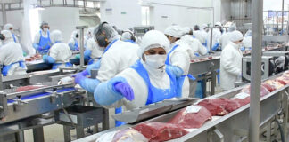 SE SOLICITAN OPERARIO/A DE ENVASADO PARA EMPRESA DEL SECTOR CÁRNICO (40 HORAS SEMANALES), PAGO 11,95€ LA HORA Operario de Envasado Empleo en Madrid Operario de Envasado en España envasadores de carne Packaging Operator Jobs in Madrid Packaging Operator in Spain Meat Sector Company meat packers