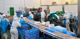 SE SOLICITAN OPERARIOS/AS DE ENVASADO PARA EMPRESA DE ALIMENTOS (POCA EXPERIENCIA), SALARIO 1.900€ – 2.000€ AL MES Operarios de Envasado Empresa de Alimentos en Sant Joan Les Fonts Empleo en Girona, empleo de envasador en España Packaging Operators Food Company packer jobs in Spain