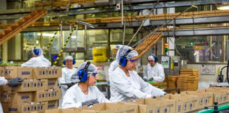 SE SOLICITAN OPERARIOS DE PRODUCCIÓN Y ENVASADO (HOMBRES Y MUJERES), CON O SIN EXPERIENCIA. FRANJA SALARIAL 1500 € – 1600 € AL MES Operarios de Producción y Envasado empleo de envasador en España Empleo en Madrid Production and Packaging Operators packaging jobs in Spain Jobs in Madrid