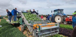 SE PRECISA PEÓN AGRÍCOLA (H/M), PARA LABORES DE CAMPO. SE OFRECE BUEN SUELDO, CONTRATO ESTABLE Y BENEFICIOS Peón Agrícola en Navarra peones agrícolas en España Empleo en Navarra Farm worker Sector Agrícola Agricultural Laborer agricultural laborers in Spain Agricultural Sector Company