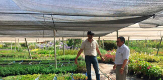 SE SOLICITAN PEONES AGRÍCOLAS PARA FINCA (CON O SIN EXPERIENCIA), LABORES DE PRODUCCIÓN EN VIVERO DE PLANTAS. INGRESO INMEDIATO, SALARIO A CONVENIR Peones Agrícolas Finca en España Viveros de Plantas Empleo sin experiencia Agricultural Laborers for Farm in Spain Plant Nurseries in Valencia Spain Employment without experience