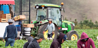 SE SOLICITAN PEONES AGRÍCOLAS PARA GRANJA DE FRUTAS Y VERDURAS (CON O SIN EXPERIENCIA), 8 VACANTES. FULL TIME, PAGO $28,85 POR HORA Peones Agrícolas Granja de Frutas y Verduras en Canadá Delta Columbia Británica Empleo sin experiencia en Canadá Agricultural Laborers in Canada Delta British Columbia Jobs without experience in Canada