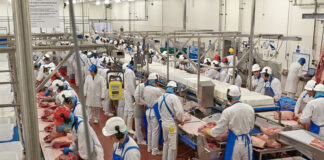 SE SOLICITAN PEONES/AS PARA INDUSTRIA CÁRNICA (POCA EXPERIENCIA), PERSONAS CON ACTITUD PROACTIVA. BUEN SALARIO Peones para Industria Cárnica en España Laborers for the Meat Industry in Spain