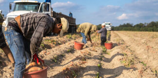 SE SOLICITA TRABAJADOR AGRÍCOLA (NO REQUIERE EXPERIENCIA), TIEMPO COMPLETO. CONTRATO POR TEMPORADA, SALARIO $4072,72 AL MES Trabajador Agrícola en USA Empleo de Peón Agrícola en Estados Unidos Empleo sin experiencia Mount Vernon Empleo en Ohio Trabajador Agrícola sin experiencia Farm Worker in the USA