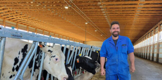 SE SOLICITA TRABAJADOR DE GRANJA LECHERA (CON O SIN EXPERIENCIA), TIEMPO COMPLETO. PAGO ENTRE $25.00 A $30.00 POR HORA Trabajador de Granja Lechera en Canadá Empleo en Surrey Columbia Británica Empleo sin experiencia Dairy Farm Worker in Canada Jobs in Surrey British Columbia Jobs without experience