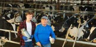 SE SOLICITAN AYUDANTES PARA GRANJA LECHERA (PAREJA O INDIVIDUAL), NO SE REQUIERE EXPERIENCIA PREVIA. BUEN SUELDO Y BENEFICIOS Ayudantes Para Granja Lechera en Estados Unidos Empleo en Palmer Empleo en Kansas Empleo sin experiencia en USA Dairy Farm Helpers in the United States Jobs
