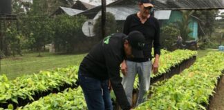 SE SOLICITAN AYUDANTES PARA VIVERO (HOMBRES Y MUJERES), 28 VACANTES. 40 HORAS SEMANALES, PAGO $19.75 POR HORA Ayudantes Para Vivero Personal para Vivero en USA vides Nursery Helpers Personal for Nursery in USA vines