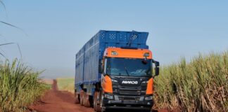 SE SOLICITA CONDUCTOR DE CAMIÓN PARA EMPRESA AGRÍCOLA (LABORES GENERALES). 36 HORAS SEMANALES, PAGO $25.37 POR HORA Conductor de Camión Empresa Agrícola Empleo en Florida Empleo de Conductor de Camión en Estados Unidos Truck Driver Agricultural Company Jobs in Florida Truck Driver Jobs in the United States