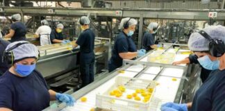SE NECESITAN OPERARIOS/AS ALIMENTICIOS (CON O SIN EXPERIENCIA), TURNOS ROTATIVOS. BUEN SUELDO, INGRESO INMEDIATO Operarios alimenticios operarios empresa industrial Food workers industrial company workers