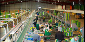 SE SOLICITA PERSONAL DE LABOR GENERAL Y EMPAQUE (CON O SIN EXPERIENCIA), 1ER Y 2DO TURNO DISPONIBLE. PAGO $17.28 POR HORA Personal de Labor General y Empaque Empleo en Torrance California Empleo sin experiencia en USA General Labor and Packaging Personnel Jobs in Torrance California Jobs without experience in the USA