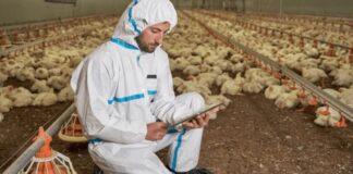 SE BUSCA TRABAJADOR DE GRANJA AVÍCOLA (CON O SIN EXPERIENCIA PREVIA), SE OFRECE BUEN PAGO POR HORA Y EXCELENTES BENEFICIOS Trabajador de Granja Avícola Trabajadores Avícolas en Estados Unidos Poultry Farm Worker Poultry Workers in the United States