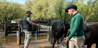 SE SOLICITAN TRABAJADORES GANADEROS DE CAMPO ABIERTO (6 VACANTES), BUEN SALARIO. SE OFRECEN AUMENTOS O BONIFICACIONES SEGÚN DESEMPEÑO Trabajadores Ganaderos de Campo Abierto empleado para granja en Estados Unidos Batesville Empleo en Texas Trabajadores Ganaderos en USA Employment in Texas Livestock Workers in the USA