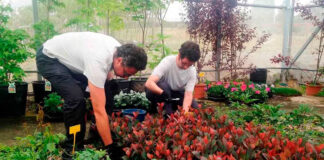 SE SOLICITAN TRABAJADORES DE CAMPO PARA VIVERO (HOMBRES Y MUJERES), 6 VACANTES. NO REQUIERE EXPERIENCIA, SALARIO $2488 + HORAS EXTRAS Trabajadores de Campo Para Vivero en USA Personal para Vivero en USA Empleo sin experiencia en USA Huffman Empleo en Texas Nursery Personnel in the USA Jobs without experience Jobs in Texas