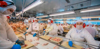 SE NECESITAN TRABAJADORES DE PRODUCCIÓN AVÍCOLA CON O SIN EXPERIENCIA (HOMBRES Y MUJERES), 50 VACANTES. 40 HORAS SEMANALES, PAGO $22.56 POR HORA Trabajadores de producción avícola en Canadá Poultry production workers in Canada without experience sin experiencia