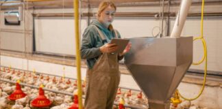 SE SOLICITA AYUDANTE AVÍCOLA (NO SE REQUIERE EXPERIENCIA), TURNO DE MAÑANA DE LUNES A VIERNES. BUEN SALARIO Ayudante Avícola en España Empleo en Murcia Empleo sin experiencia en España Poultry Assistant in Spain Jobs in Murcia Poultry Production in Spain