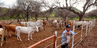 SE SOLICITAN AYUDANTES/MANO DE RANCHO (4 VACANTES), CONTRATO TEMPORAL. PAGO $17.79 POR HORA + BENEFICIOS Ayudantes Mano de Rancho Empleo Iowaempleado para granja en USA Ranch Hand Helpers Employment Iowaemployee for farm in USA