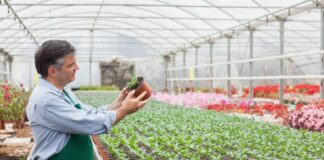 SE SOLICITAN 18 AYUDANTES PARA VIVERO/INVERNADERO (HOMBRES Y MUJERES), POCA EXPERIENCIA. PAGO $3700 AL MES Ayudantes Para Vivero Invernadero en USA Personal para Vivero en Estados Unidos empleo en Míchigan Nursery Helpers Greenhouse in USA Nursery Personnel in the United States jobs in Michigan