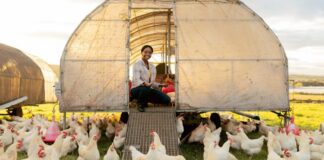 SE SOLICITAN 2 AYUDANTES DE GRANJA AVÍCOLA (NO SE REQUIERE EXPERIENCIA PREVIA, SE CAPACITARÁ), SALARIO $3175,68 AL MES Ayudantes de Granja Avícola en Caldwell Empleo en Idaho Empleo sin experiecia en USA Trabajadores Avícolas Poultry Farm Helpers Jobs in Idaho Jobs without experience in USA Poultry Workers