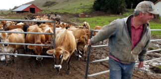 SE BUSCAN AYUDANTES PARA GRANJA DE ANIMALES (CON O SIN EXPERIENCIA), 5 VACANTES. SALARIO ENTRE $ 2880,00 A $ 4320,00 AL MES + ALOJAMIENTO Ayudantes para Granja de Animales en Canadá Empleo con Alojamiento en Canadá Empleo sin experiencia en Canadá Rancho en Canadá Animal Farm Helpers in Canada
