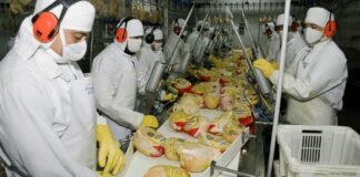 SE BUSCAN 50 TRABAJADORES/AS CON O SIN EXPERIENCIA PARA EMPRESA PRODUCTORA Y COMERCIALIZADORA DE PRODUCTOS AVÍCOLA. PAGO $22.56 POR HORA, 35 A 40 HORAS SEMANALES Trabajadores Para Empresa Productora y Comercializadora de Productos Avícola en Canadá Workers for a Company that Produces and Markets Poultry Products in Canada
